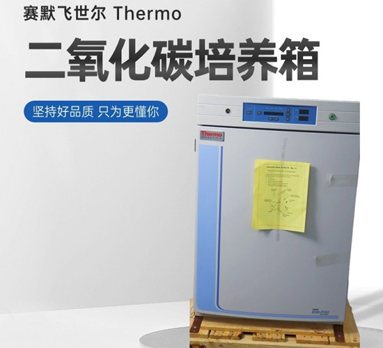 賽默飛371培養(yǎng)箱,提供細胞培養(yǎng)解決方案 賽默飛371培養(yǎng)箱,提供細胞培養(yǎng)解決方案