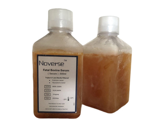 1Gibco澳洲胎牛血清價格大概多少