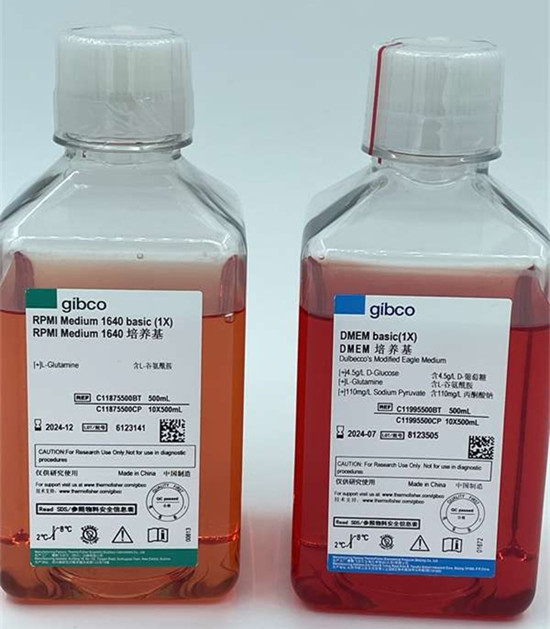 Gibco澳洲胎牛血清在細胞培養(yǎng)中的作用 Gibco澳洲胎牛血清在細胞培養(yǎng)中的作用