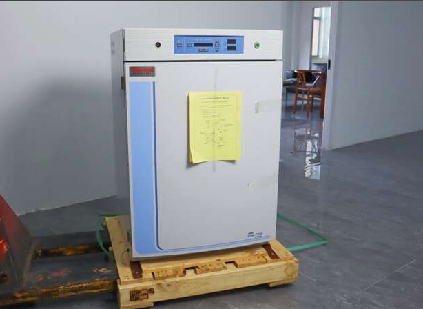 1730700541510841.jpg 二氧化碳培養(yǎng)箱.jpg